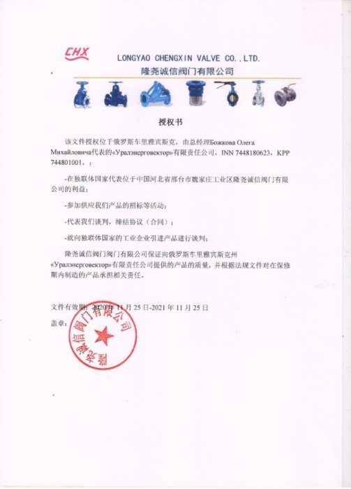 Сертификат представителя Longyao Chengxin Vavle Co., Ltd